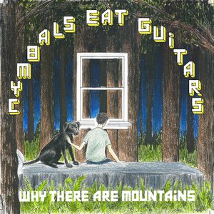 Immagine per 'Why There are Mountains'