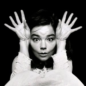 Image for 'Björk'