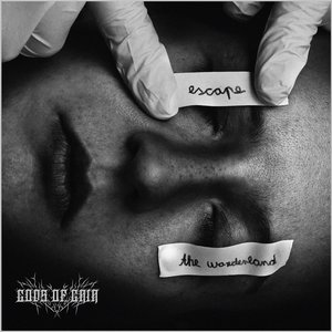 Image for 'Escape the Wonderland'