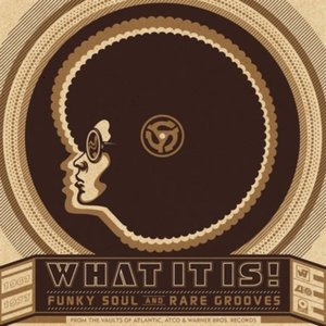 Изображение для 'What It Is! Funky Soul And Rare Grooves [1967-1977][digital version] [International]'