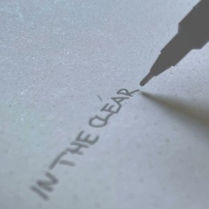 Bild für 'In The Clear'