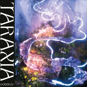 Image for 'Taraxia'