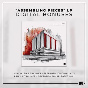 Immagine per '"Assembling Pieces" LP : Digital Bonuses'