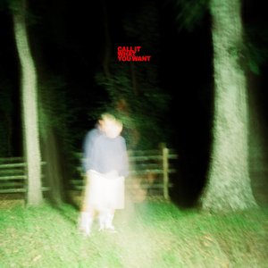Image for 'Call It What You Want'