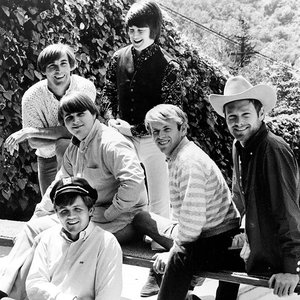 Bild för 'The Beach Boys'