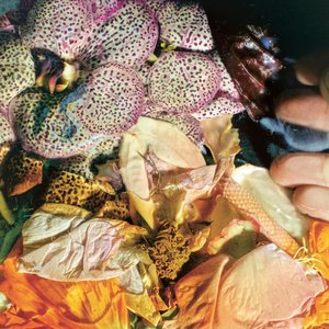 Immagine per 'Genuine Silk'