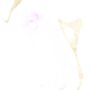 “萌sabetsu”的封面