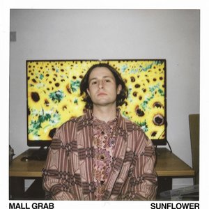 Image for 'Sunflower'
