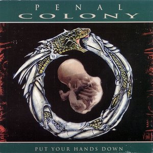 Image for 'Put Your Hands Down'