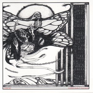 Zdjęcia dla 'Clipped Beaks // Silk Panic'