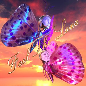Image for 'Feel the Love'