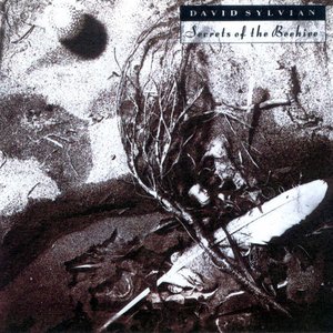 Image for 'Secrets of the Beehive (Remastered 2003)'
