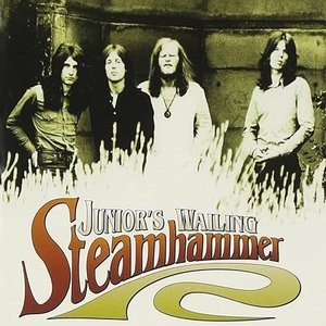 Image for 'Junior's Wailing (2011 Remastered)'