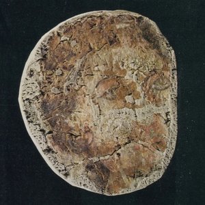 Image for 'Солнце'