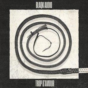 Image for 'Trop d'amour'