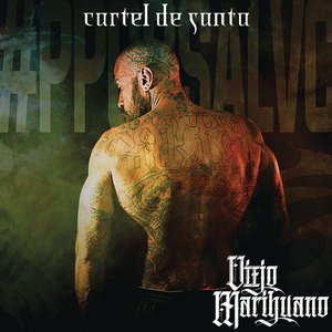 Image for 'Viejo Marihuano'
