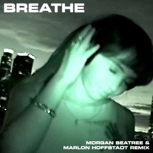Image for 'Breathe (Morgan Seatree & Marlon Hoffstadt Remix)'