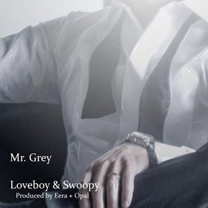 Image for 'mr. grey'