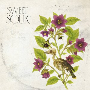 Image for 'Sweet Sour'
