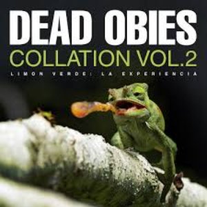 Image for 'Collation Vol. 2 – Limon Verde: La Experiencia'