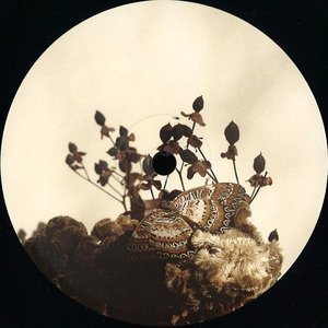 Image for 'Transcended Being EP'