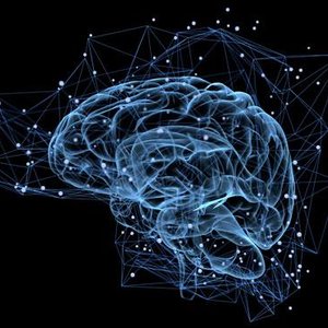 Image for 'Alpha Brain Waves'