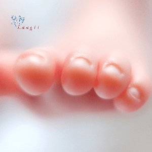 Image for 'Langit'