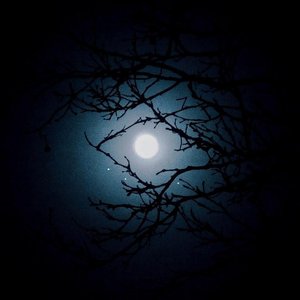 Image for 'Under The Same Moon'