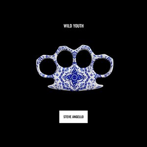 Image for 'Wild Youth'