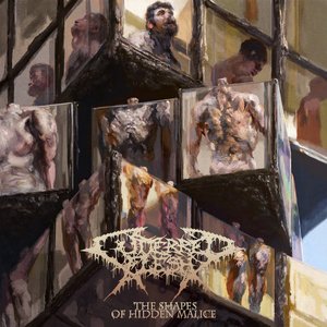 Image for 'The Shapes of Hidden Malice'