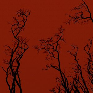 Image for 'Solace (Remastered)'