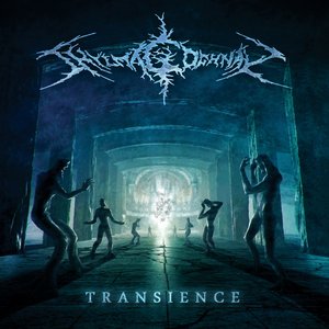 Image for 'Transience'