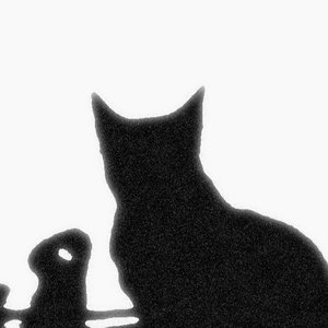 Image for 'Bo!'