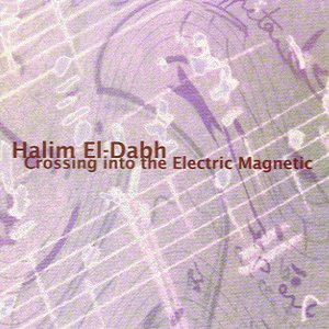 Image pour 'Crossing Into The Electric Magnetic'