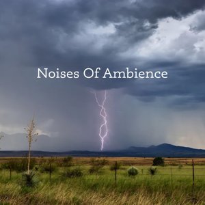 Image for 'Noises Of Ambience'
