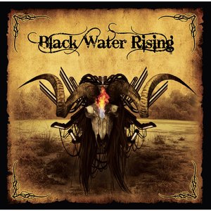 Bild för 'Black Water Rising'