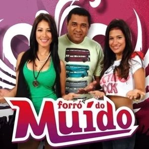 Image pour 'Forró Do Muído, Vol.4 (Ao Vivo)'
