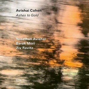 Image for 'Ashes to Gold'