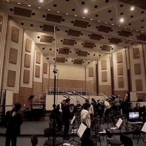 Bild für 'The Budapest Art Orchestra'