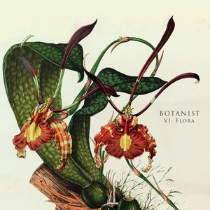 “VI: Flora”的封面