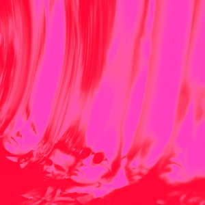 Image for 'Love Fuzzz'