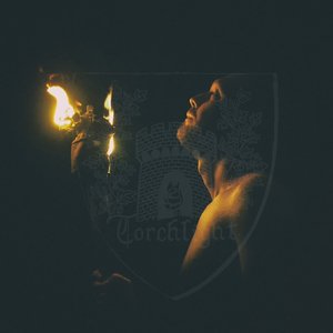 Image for 'Torchlight'