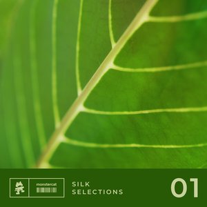 Image for 'Silk Selections 01'