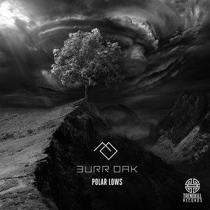 Image for 'Polar Lows'