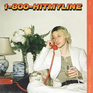 Bild för '1-800-HITMYLINE'