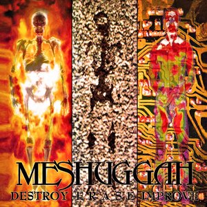 Image for 'Destroy Erase Improve: 30th Anniversary Edition (2026 Remastered)'