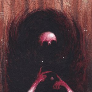 Zdjęcia dla 'orb.weaver'