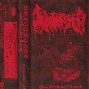 Bild för 'Goatfucking Ritual'