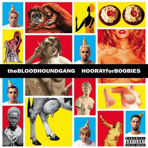 Image for 'Hooray for Boobies'