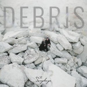 Image for 'Debris'